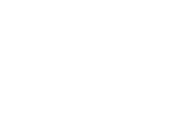 Viking